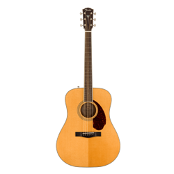 Fender 0960250221 PM-1 Standard Dreadnought with Case, Natural