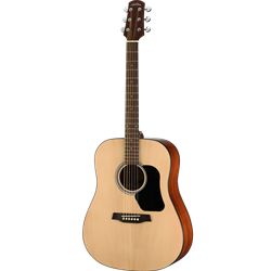 Walden  D450 Standard Solid Spruce Top Dreadnought Acoustic